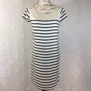 Zara Tan Navy Stripe Silk Sheath Dress L